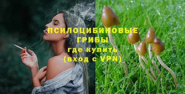 прущая мука Богородицк