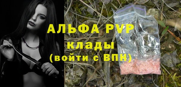 эйфоретик Богданович