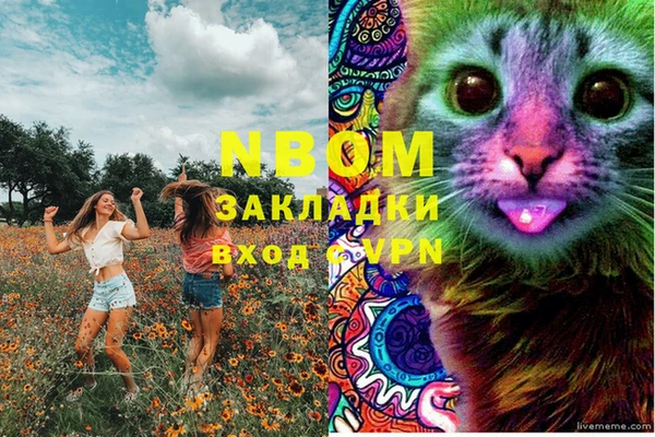 сатива Богородск