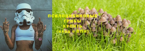 МДМА Заволжск