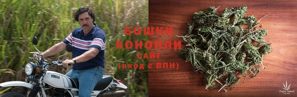 тгк Бронницы