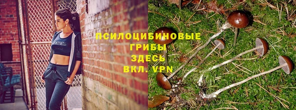 эйфоретик Богданович