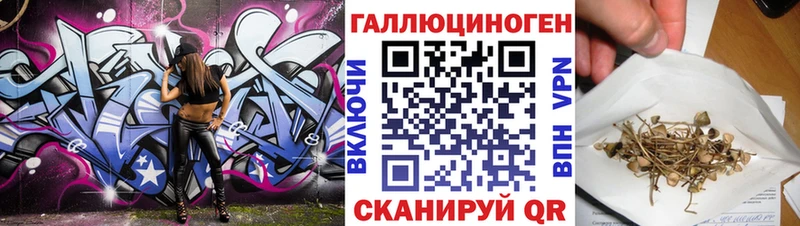 где продают   Бутурлиновка  Псилоцибиновые грибы Magic Shrooms 
